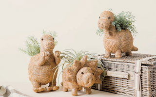 dinosaur planters