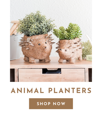 Animal Whimsical Planters