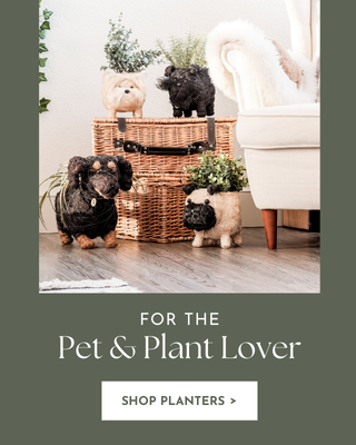 Pet & Plant Lover